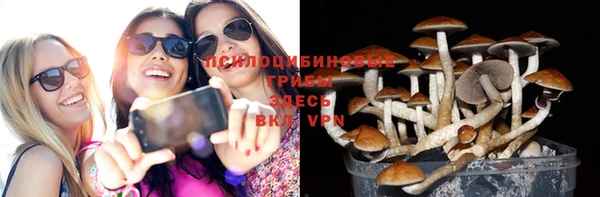 соль курить ск Богородск
