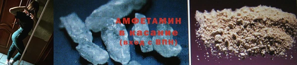 трава Богородицк