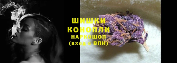 стаф Богданович