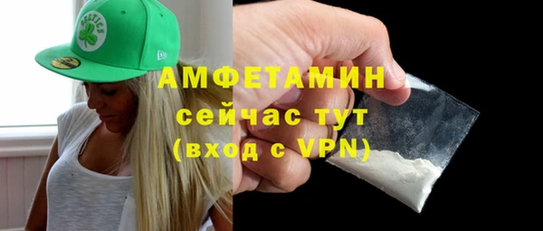 стаф Богданович