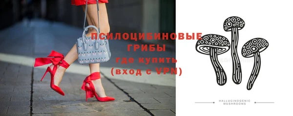 трава Богородицк