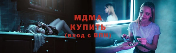 стаф Богданович