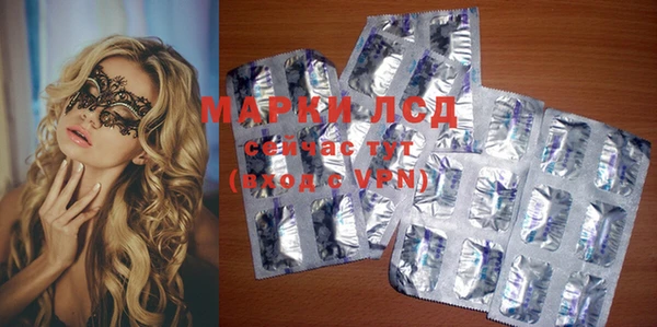 стаф Богданович