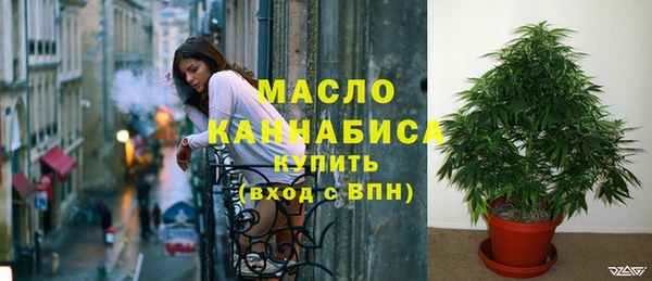 стаф Богданович