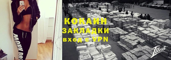 прущие грибы Елизово