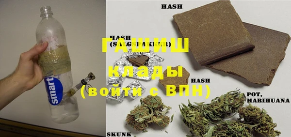 стаф Богданович